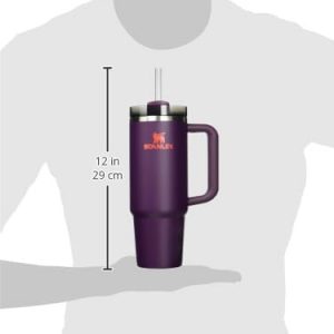 Stanley Quencher H2.0 Tumbler with Handle and Straw 30 oz | Flowstate 3-Position Lid | Cup Holder Compatible for Travel | Insulated Stainless Steel Cup | BPA-Free | Cherry Blossom