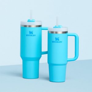 Stanley Quencher H2.0 Tumbler with Handle and Straw 30 oz | Flowstate 3-Position Lid | Cup Holder Compatible for Travel | Insulated Stainless Steel Cup | BPA-Free | Cherry Blossom