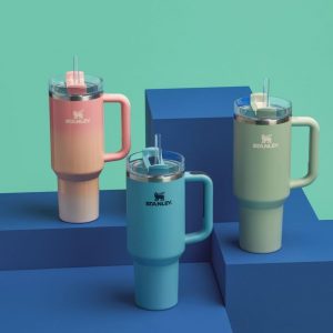 Stanley Quencher H2.0 Tumbler with Handle and Straw 30 oz | Flowstate 3-Position Lid | Cup Holder Compatible for Travel | Insulated Stainless Steel Cup | BPA-Free | Cherry Blossom