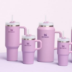 Stanley Quencher H2.0 Tumbler with Handle and Straw 30 oz | Flowstate 3-Position Lid | Cup Holder Compatible for Travel | Insulated Stainless Steel Cup | BPA-Free | Cherry Blossom