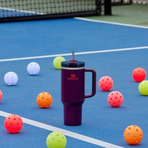 Stanley Quencher H2.0 Tumbler with Handle and Straw 30 oz | Flowstate 3-Position Lid | Cup Holder Compatible for Travel | Insulated Stainless Steel Cup | BPA-Free | Cherry Blossom