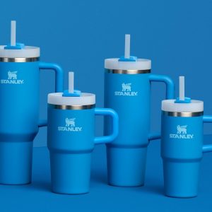 Stanley Quencher H2.0 Tumbler with Handle and Straw 30 oz | Flowstate 3-Position Lid | Cup Holder Compatible for Travel | Insulated Stainless Steel Cup | BPA-Free | Cherry Blossom