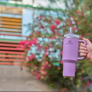 Stanley Quencher H2.0 Tumbler with Handle and Straw 30 oz | Flowstate 3-Position Lid | Cup Holder Compatible for Travel | Insulated Stainless Steel Cup | BPA-Free | Cherry Blossom