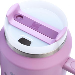 Stanley Quencher H2.0 Tumbler with Handle and Straw 30 oz | Flowstate 3-Position Lid | Cup Holder Compatible for Travel | Insulated Stainless Steel Cup | BPA-Free | Cherry Blossom