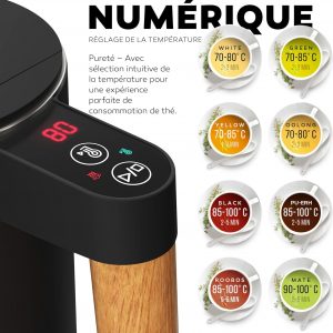 BALTER Bouilloire électrique, en acier inoxydable avec réglage de température, 45 °C - 100 °C, double paroi, sans BPA, garde la chaleur, bouilloire avec affichage de la température, 1,5 L, noire